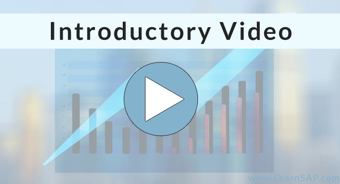 Financial Accounting and Controlling video preview